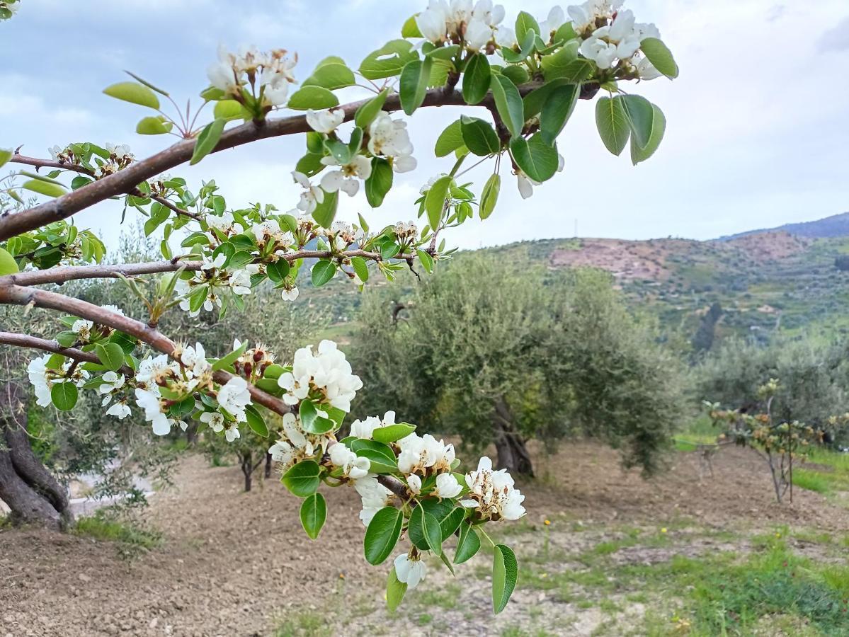 Alojamento de Turismo Rural Le Campanelle - Sicilia - Cefalu Lascari