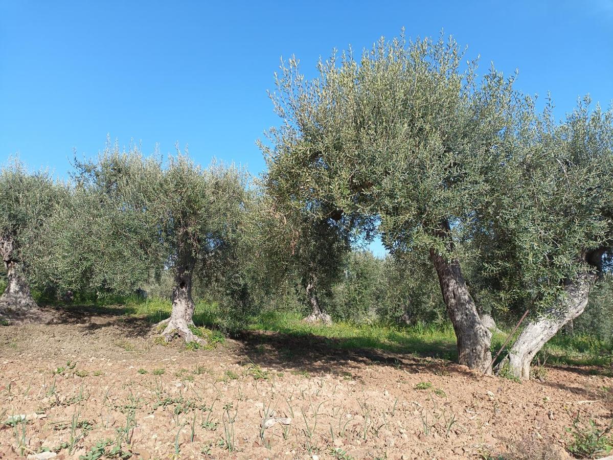 Alojamento de Turismo Rural Le Campanelle - Sicilia - Cefalu *