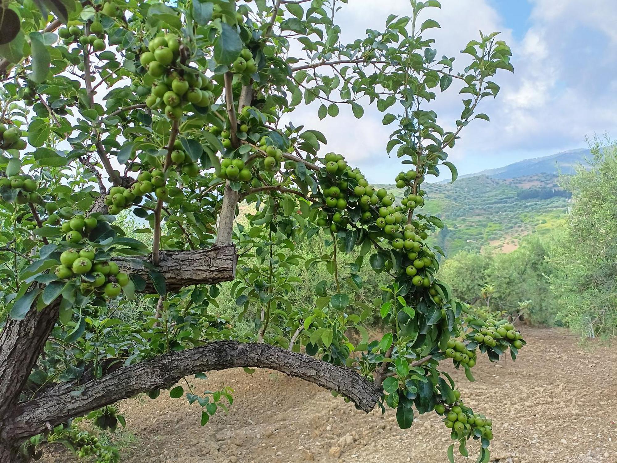 Le Campanelle - Sicilia - Cefalu Alojamento de Turismo Rural Lascari