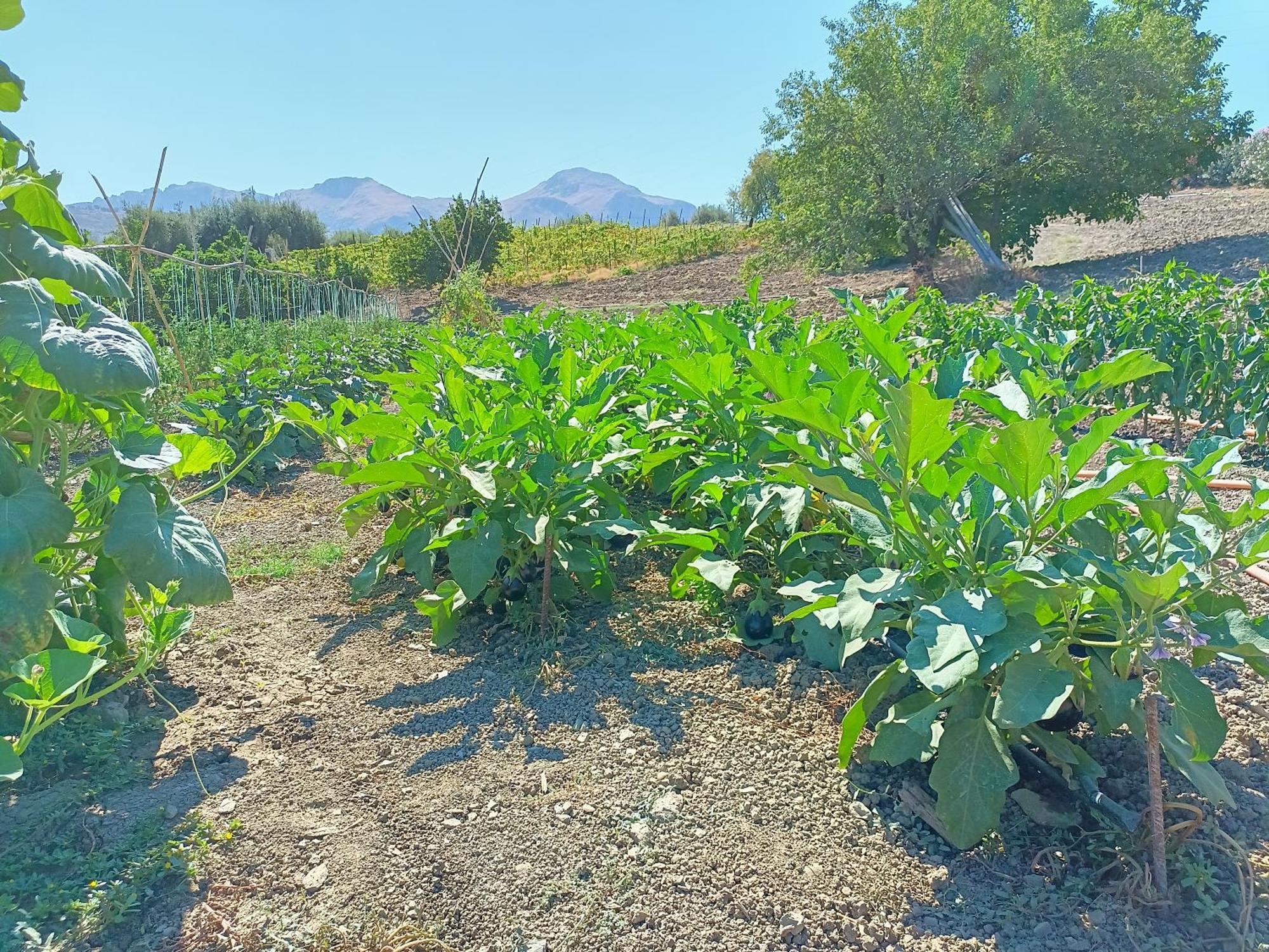Alojamento de Turismo Rural Le Campanelle - Sicilia - Cefalu *