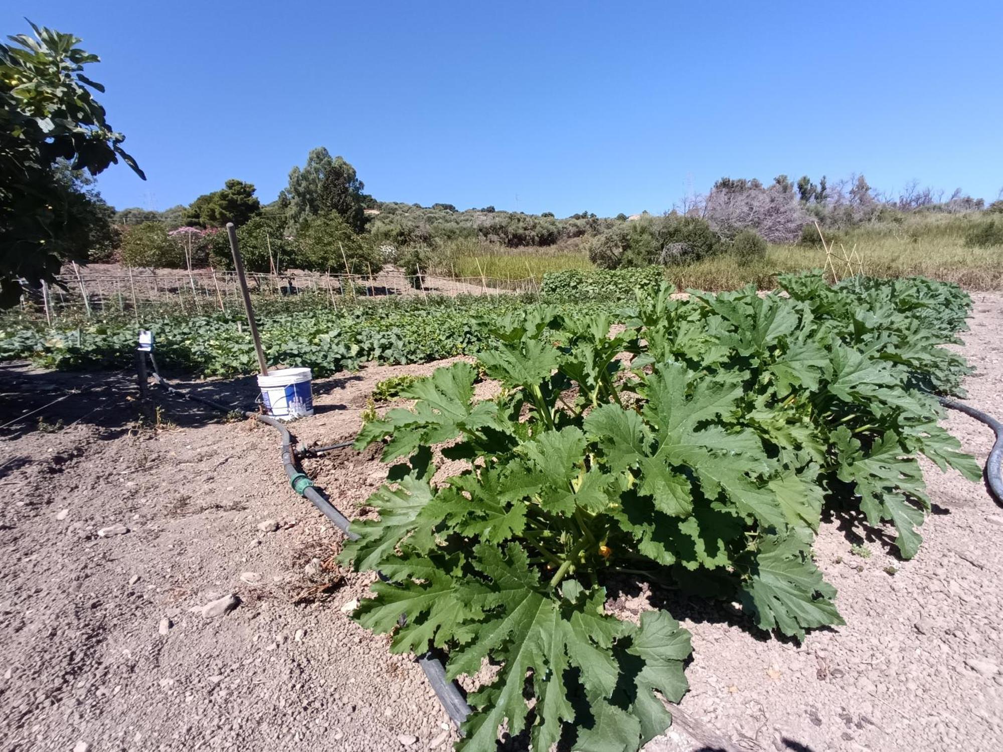 Le Campanelle - Sicilia - Cefalu Alojamento de Turismo Rural
